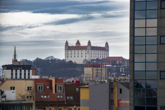 IMG_5699 copy